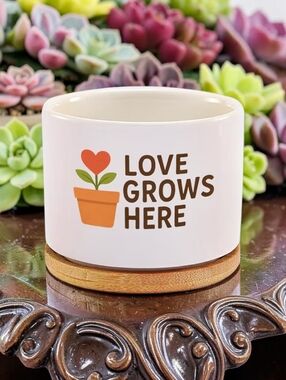Love Grows Here Ceramic Succulent Plant Pot